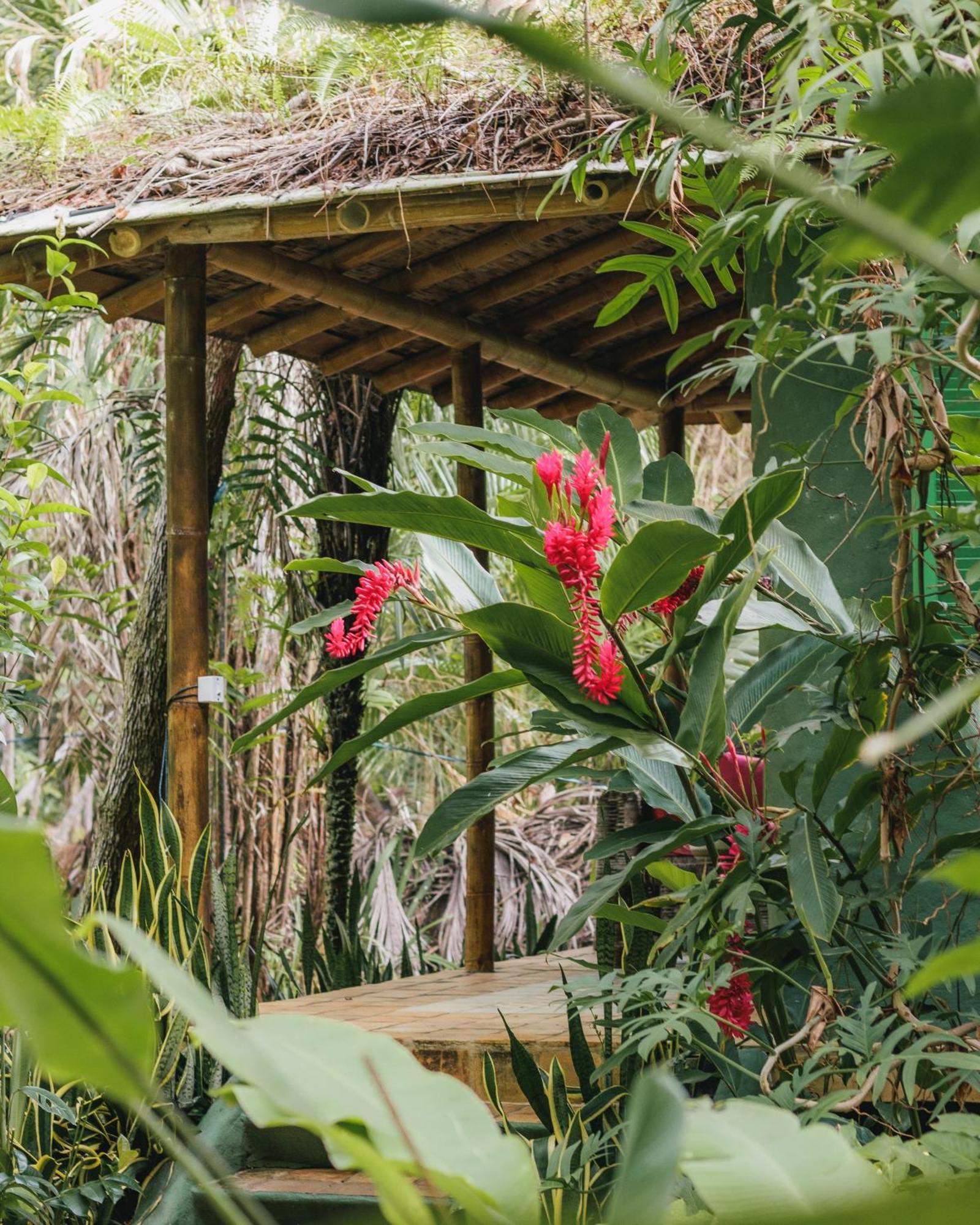 Butterfly House Bahia Hotel Marau  Exterior foto